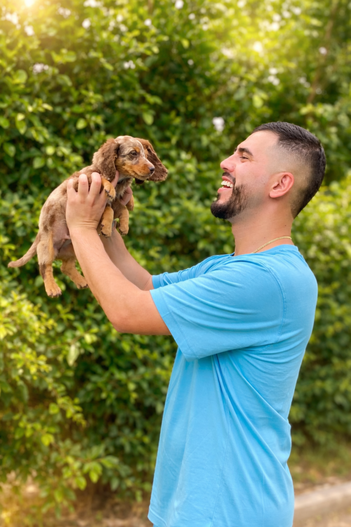Hogares felices — Amor Canino